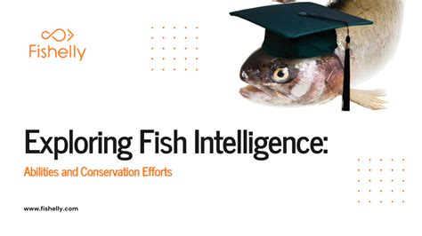fish of mind|Fish intelligence .
